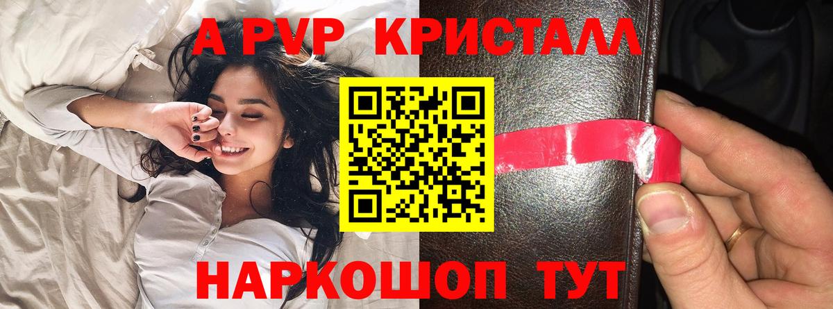 A PVP СК КРИС Апатиты
