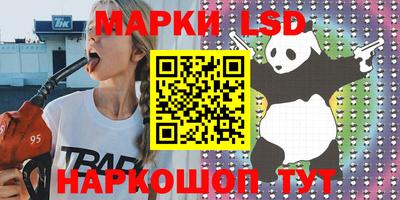 амф Гатчина