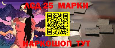 амф Гатчина