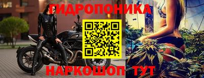 амф Гатчина