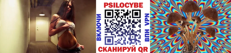 Псилоцибиновые грибы MAGIC MUSHROOMS наркота Апатиты