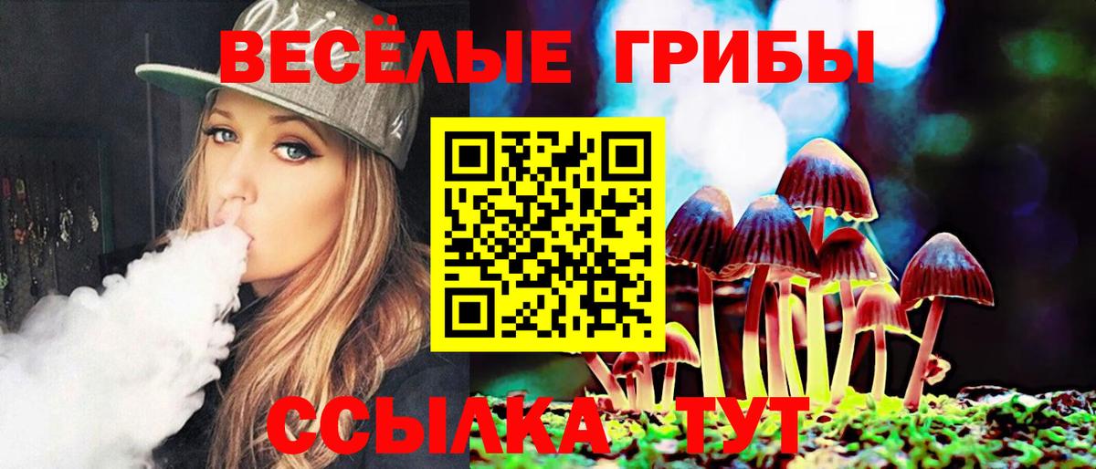 Псилоцибиновые грибы Cubensis  Вход с VPN  Апатиты 