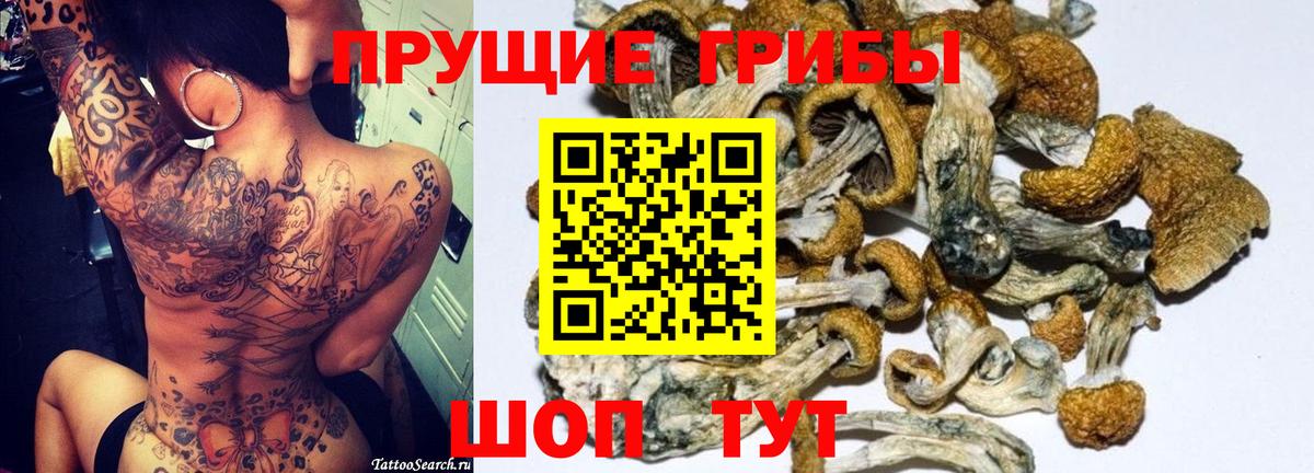 Псилоцибиновые грибы MAGIC MUSHROOMS  Апатиты  Псилоцибиновые грибы Cubensis 