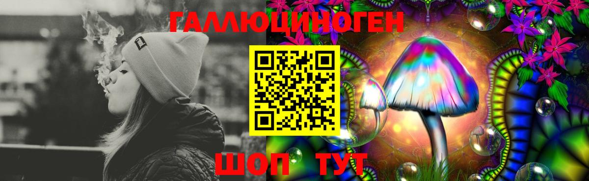 Апатиты  Галлюциногенные грибы Cubensis  купить   Псилоцибиновые грибы Magic Shrooms  Вход с VPN 